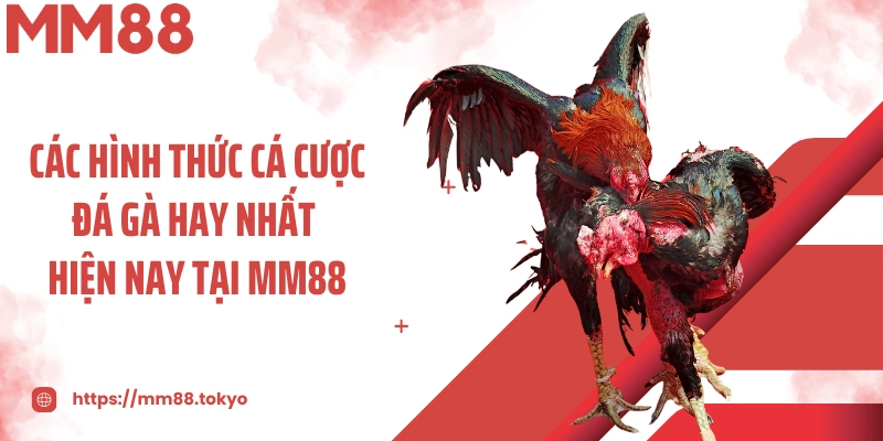 Các hình thức cá cược đá gà hay nhất hiện nay tại MM88