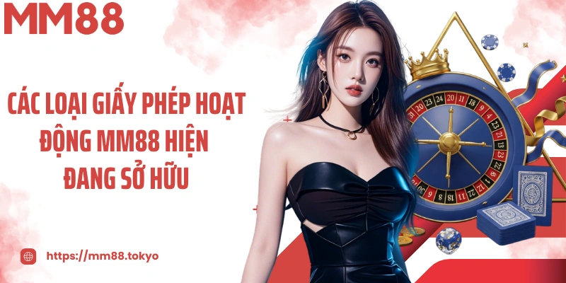 Các loại giấy phép hoạt động MM88 hiện đang sở hữu
