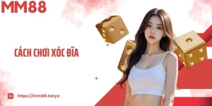 Cách Chơi Xóc Đĩa Chuẩn Xác Và Dễ Hiểu Cho Người Mới Bắt Đầu
