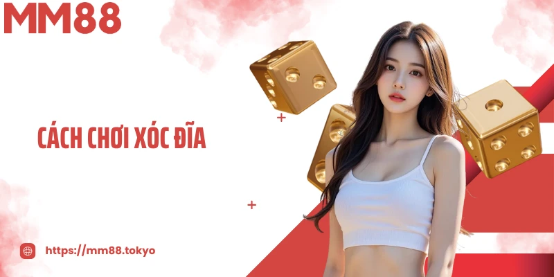 Cách Chơi Xóc Đĩa Chuẩn Xác Và Dễ Hiểu Cho Người Mới Bắt Đầu