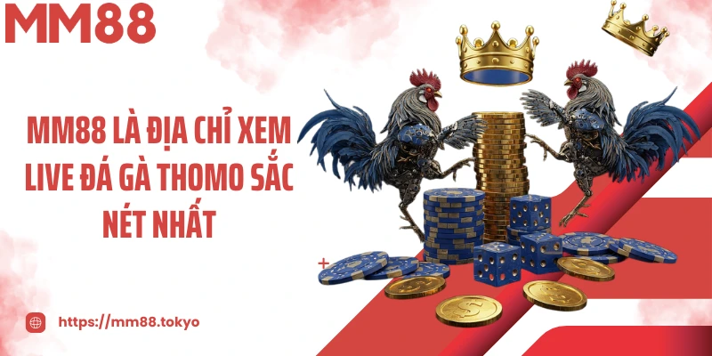 MM88 là địa chỉ xem live đá gà thomo sắc nét nhất