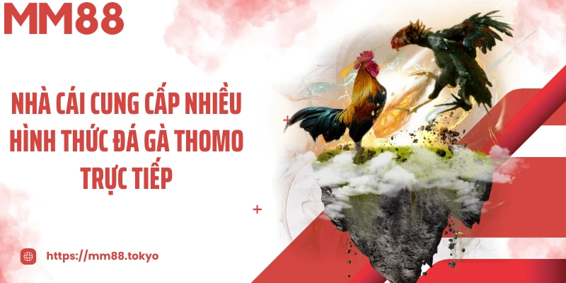 Nhà cái cung cấp nhiều hình thức đá gà thomo trực tiếp