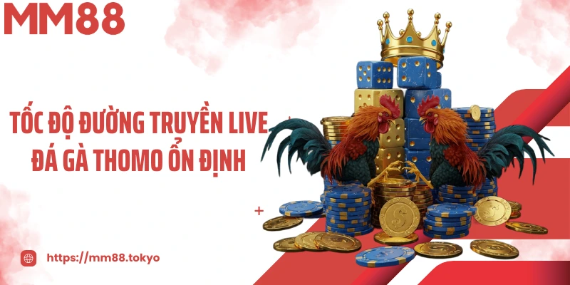 Tốc độ đường truyền live đá gà thomo ổn định