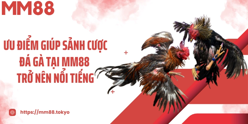 Ưu điểm giúp sảnh cược đá gà tại MM88 trở nên nổi tiếng