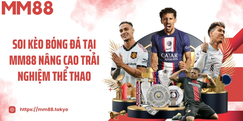 Soi kèo bóng đá dựa trên dữ liệu và biến động thực tế