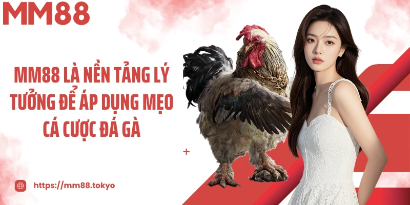 MM88 là nền tảng lý tưởng để áp dụng mẹo cá cược đá gà