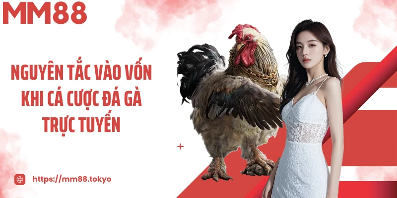 Nguyên tắc vào vốn khi cá cược đá gà trực tuyến